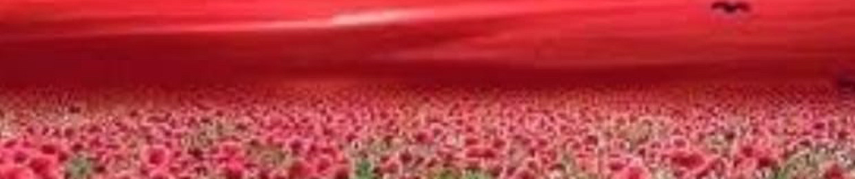user881414076