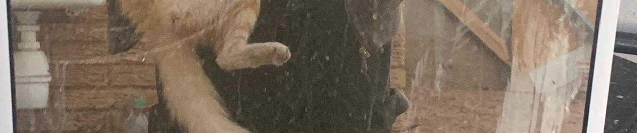 un tipo cuadrille