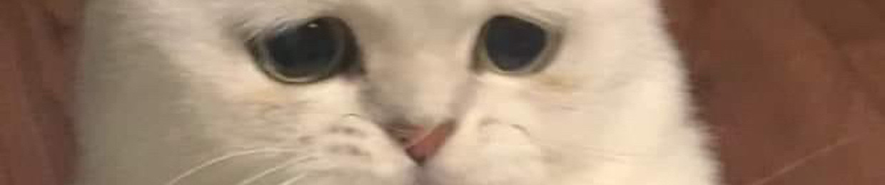 Mèooooo