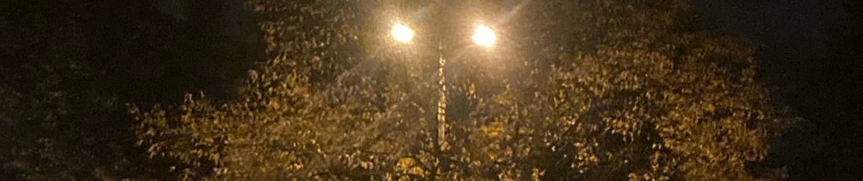 Siggie Wieder (Ro88i3)