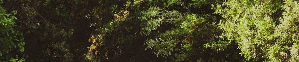 One (@oonneeeeeeeee)
