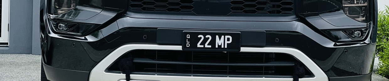 22 MP