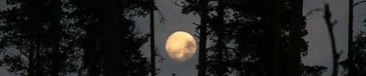 Mohamed Abed All Hadey