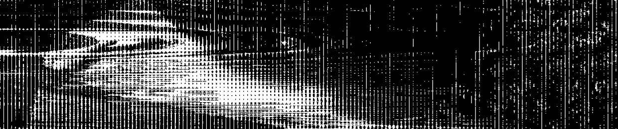 Midnight Runner