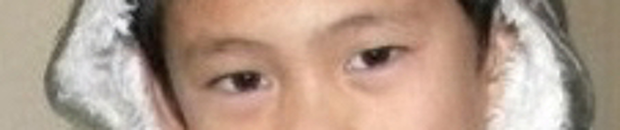 crazydestroyer7777