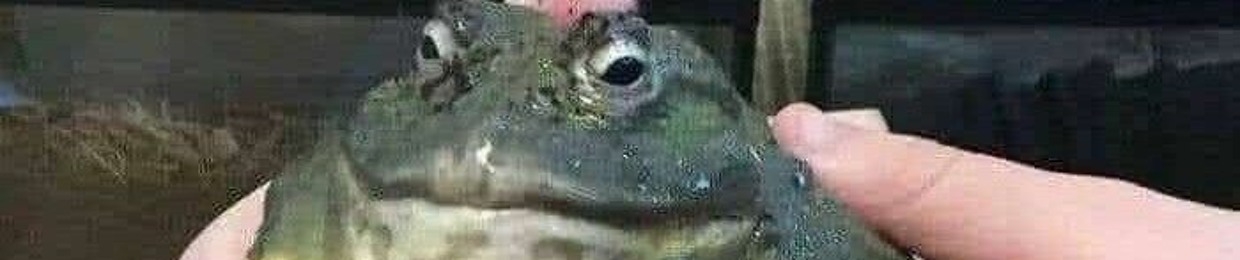oonga boonga time