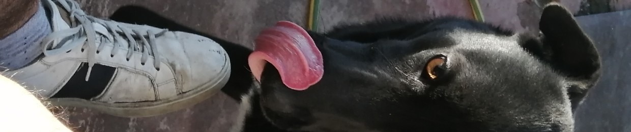 belemmif