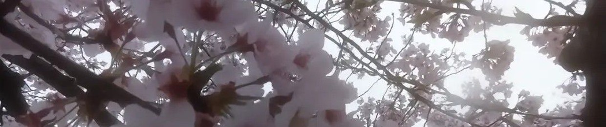 Всеволод аглифейс
