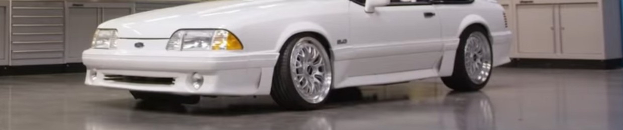 Virk26