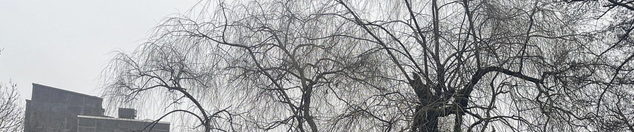 Skyress