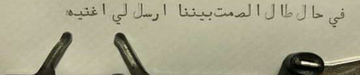 Bothaina U. Yousef