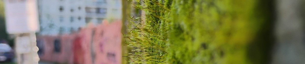 SONOSFERA