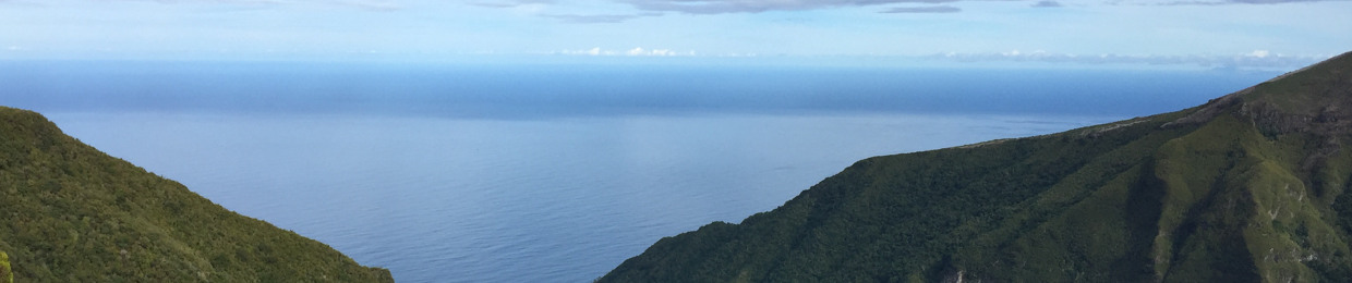 Татьяна Мискевич