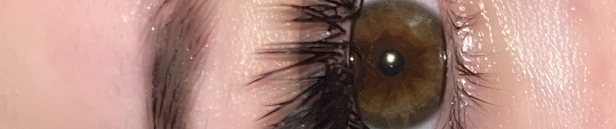 praadaslife hanstyle