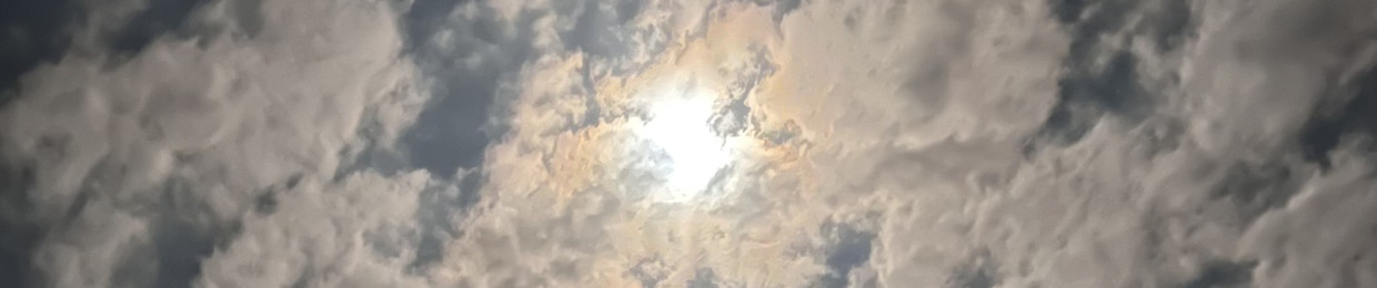 yt8🦇.