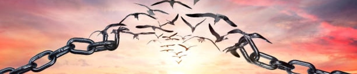 LTC (Los The Champion)