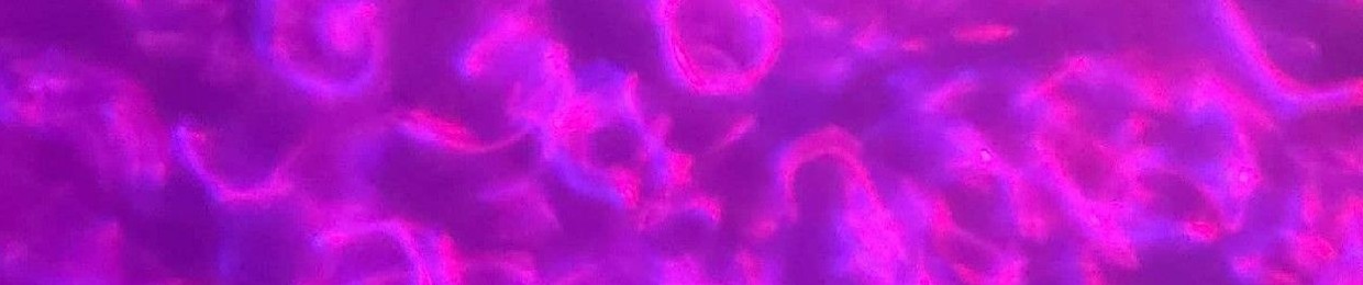 quantumkirby