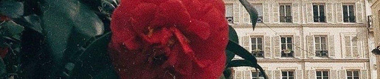 Nim