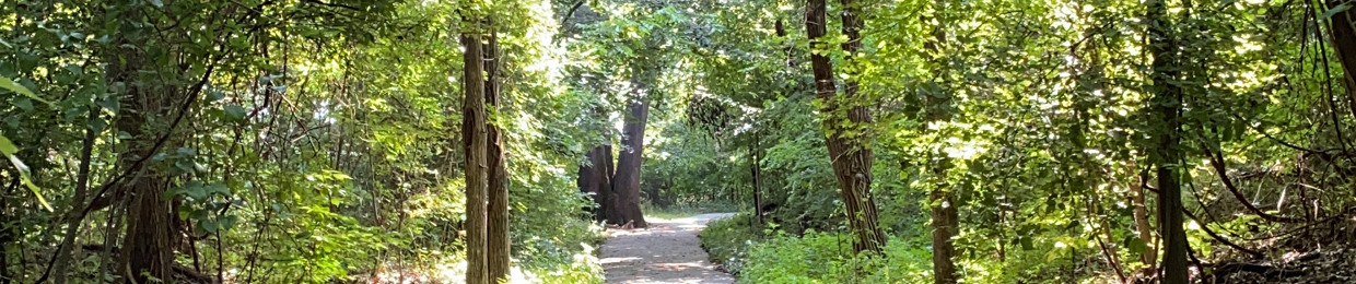 tom (itsfreakingtom)