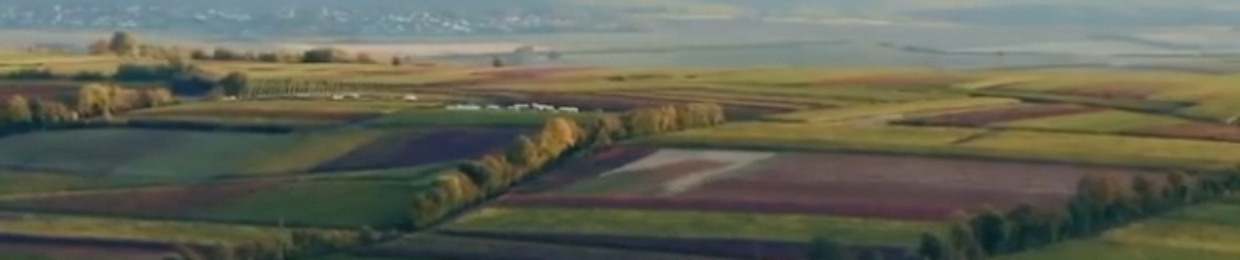 יעקב מנדלסון