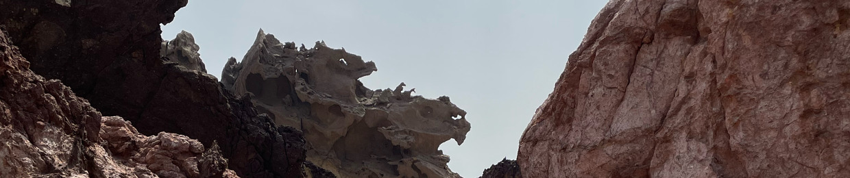 Saeed Hossseyni