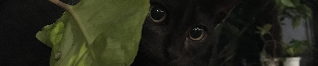 depa