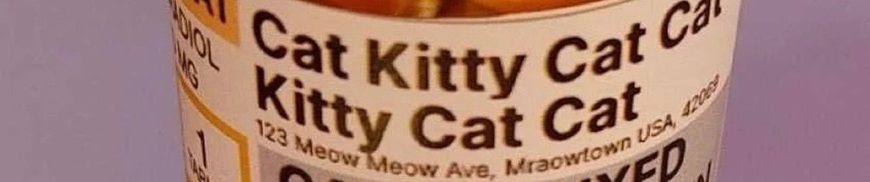 cat kitty cat cat