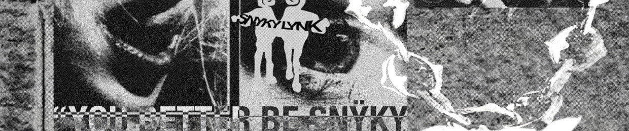 SNŸKYLYNK