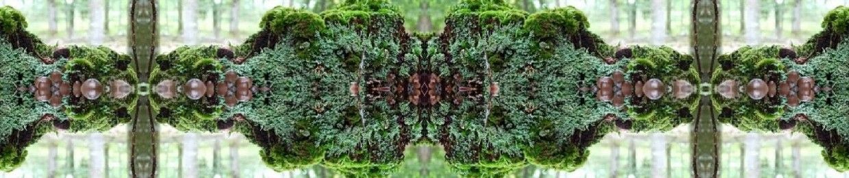Trinfinity