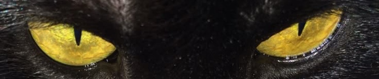 R-Angel
