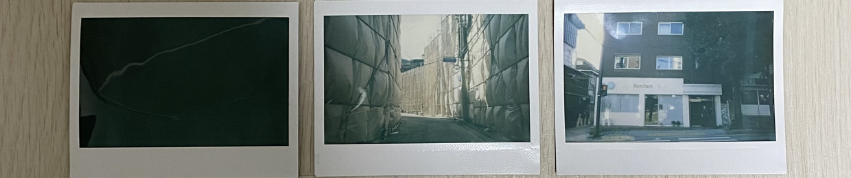 티니비 (tini_tiny_bird)