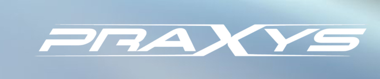 Sánchez Jr. // PRAXYS