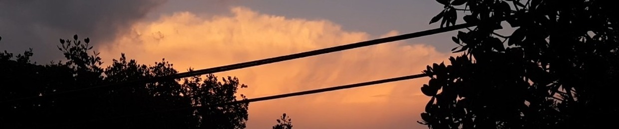 Sky_samurai