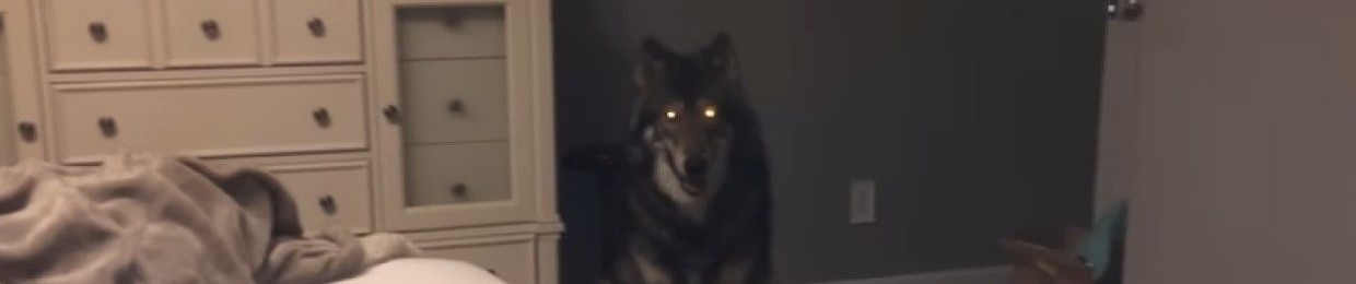 :3