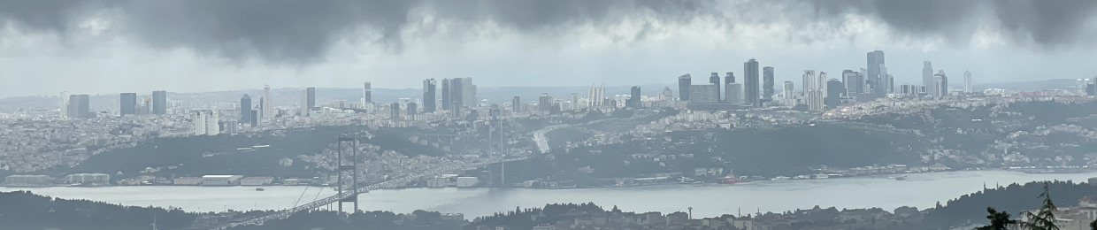 Mohammad M. Kaardaani