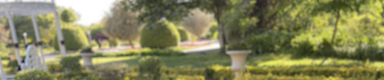 javad ghasemi