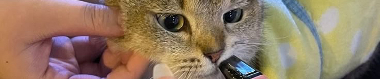 hà.