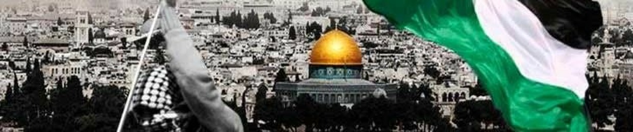 مصطفى عصمت ابو عمر