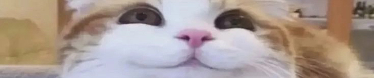BOOSTRZEXCLUSIV3