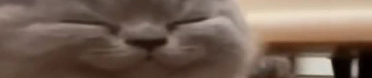 Krok_yo