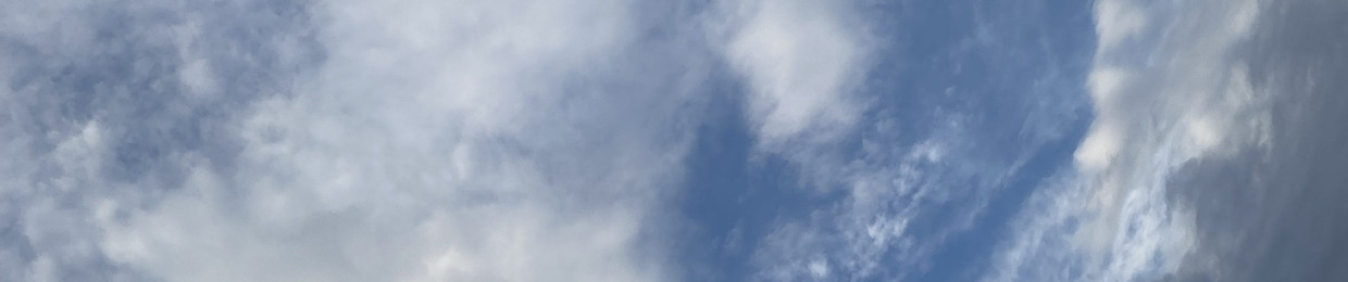 Lil bluesky