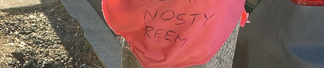 NostyJDot
