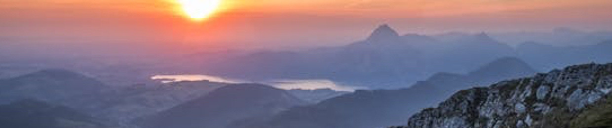 Cọ siêu tắc