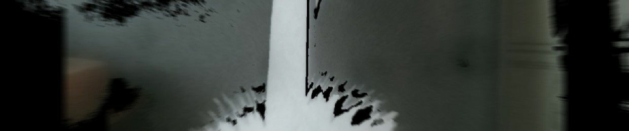 (void)