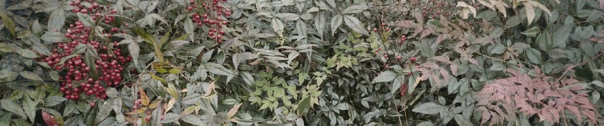 주차금지