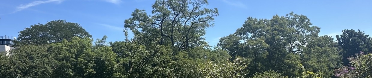 Support Forever (POP E)