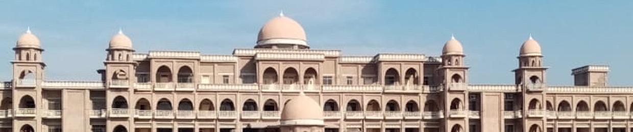 Talha Meer