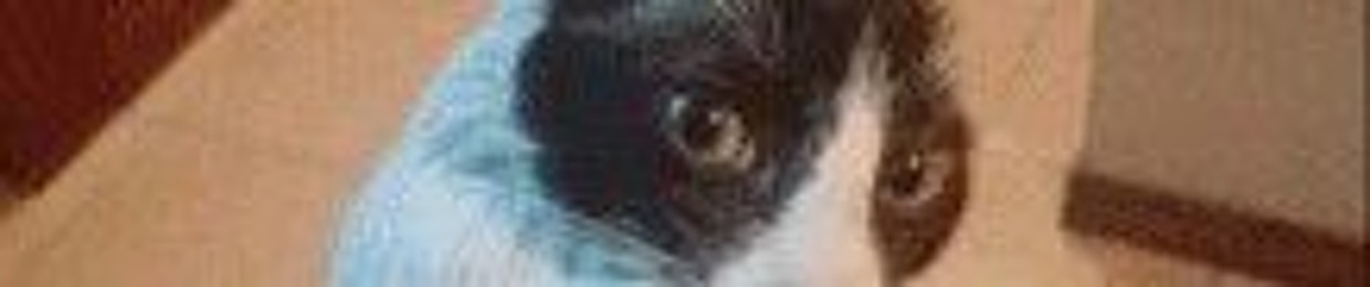 SirCatto