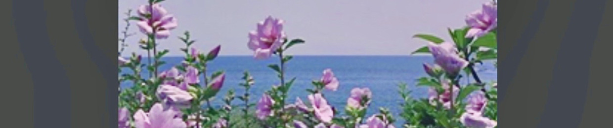 — я тут и я там —