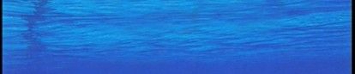 BLUUDUDE